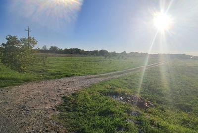 Spațiu comercial, în Central - 1