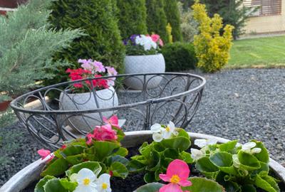 Vand casa in Giroc centru - 4