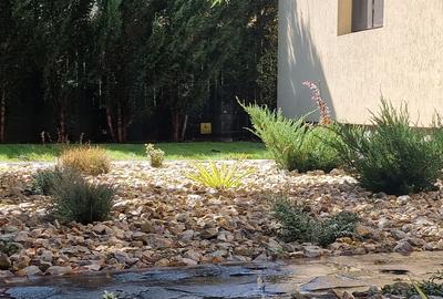 Casă cu 5 camere cu Teren 4000 Mp în Pantelimon - 8