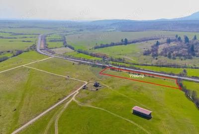 Teren de 7786 mp, în Vlădeni - 5