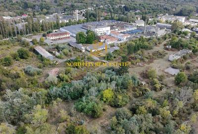 Spațiu industrial, de 21,018 mp, în Exterior Vest - 2