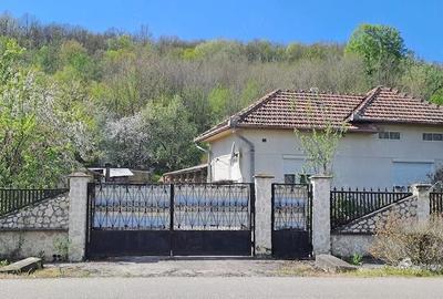 Casă cu 3 camere cu Teren 1500 Mp în Gurasada - 2