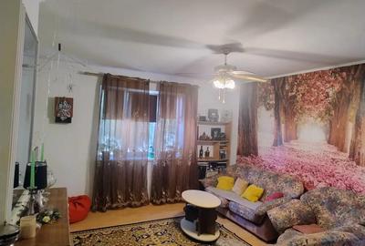 Vand casa in spate la hotel Cetate - 4