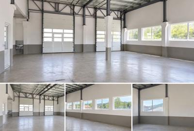 Spațiu comercial, de 400 mp, în Petru Rareș - 1
