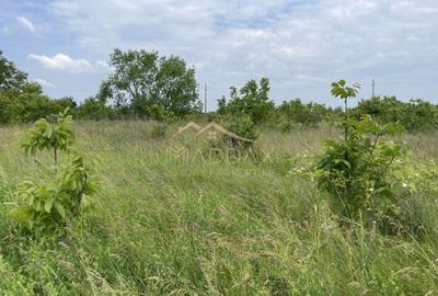 Teren Construcții intravilan de 1439 mp, în Crețești - 17