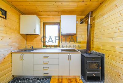 Casa cu teren de 3100 mp de vanzare in comuna Cornesti - 11