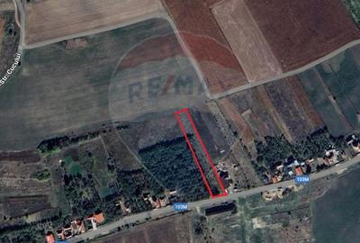 Teren de vanzare in Rediu! 2600 MP! Exclusivitate - 2