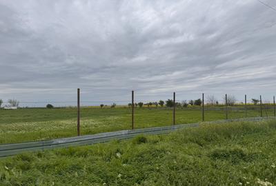 2,5 H Intravilan - Ingradit - utilitati dispobilile - pretabil dezvoltare - 8