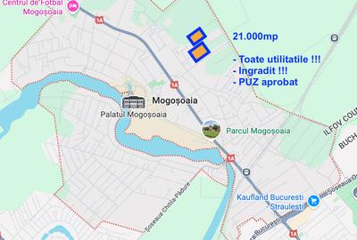 De VANZARE Teren - 21.000 mp - MOGOSOAIA - 3