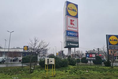 Teren Odai-Straulesti-Piscul Sadului 16.500mp - 5