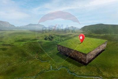 Teren agricol extravilan de 20000 mp, în Central - 3