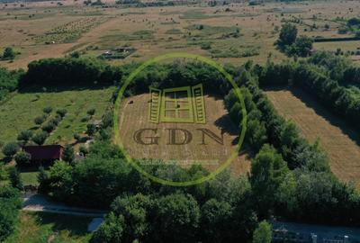 Teren agricol extravilan de 1413 mp, în Exterior Est - 9