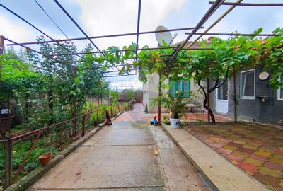 Casă cu 4 camere de vânzare în Buzias - 2