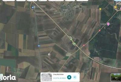 Teren de 6000 mp, în Ciocârlia - 7