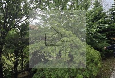 Vila 5 camere LUX Voluntari - Cartier Henri Coanda - 3