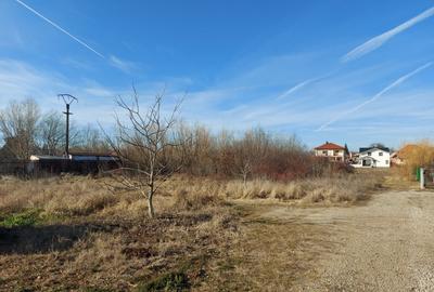 Loc pentru casa cu utilitati la 500m de padure, Ciofliceni - Snagov! - 8