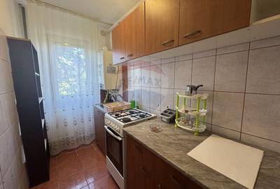 Apartament cu 2 camere de închiriat în zona Casa de Cultura - 6