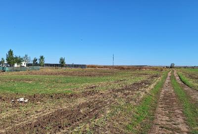 Teren de 400 mp, în Sud - 7