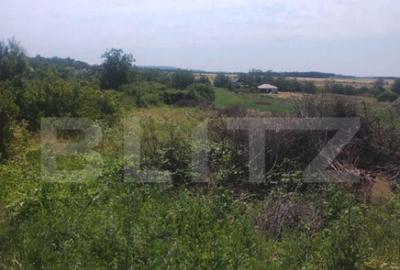 Teren intravilan Ardud Vii - 1