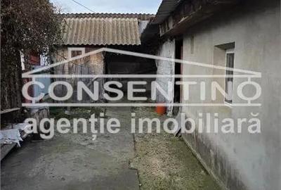 Casă cu 3 camere cu Teren 1439 Mp în Movila Banului - 3