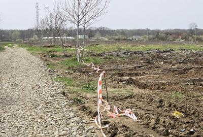 Teren Construcții intravilan de 4783 mp, în Ciolpani - 5