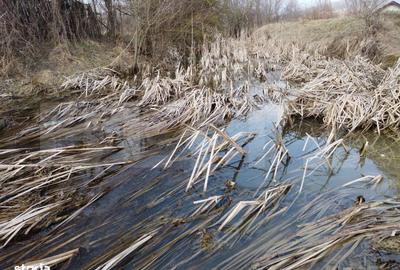 Spațiu comercial, în Ocnița - 11