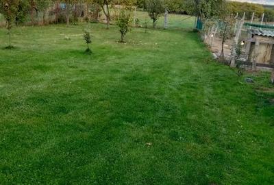 Casă cu 4 camere în Sâi - 2