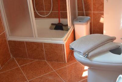 Apartament cu 4 camere decomandat în Cioplea - 2