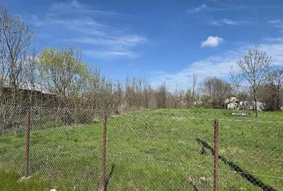 Casă cu Teren 1550 Mp în Ștorobăneasa - 4