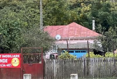 Casă cu 3 camere cu Teren 4429 Mp în Malcoci - 8