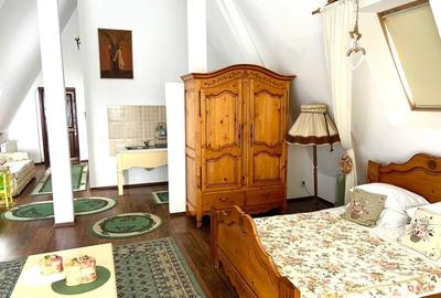 Pensiune agroturistica de vanzare in localitatea Horodnic de Sus jud.Suceava - 5