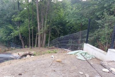 Spațiu comercial, în Provița de Jos - 10