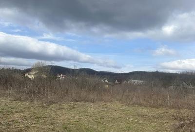 Teren de 1000 mp, în Bănești - 3