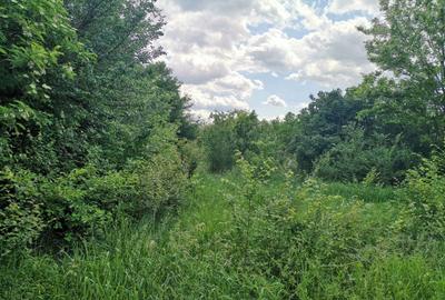 Spațiu comercial, în Căteasca - 1