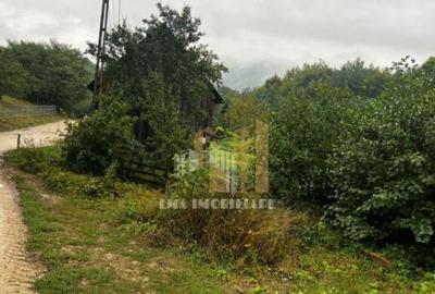 Teren intravilan Sinca Noua - 7