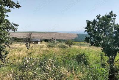 Teren de 1800 mp, în Central