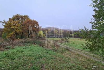Teren intravilan industrial de vanzare in Gilau - 2