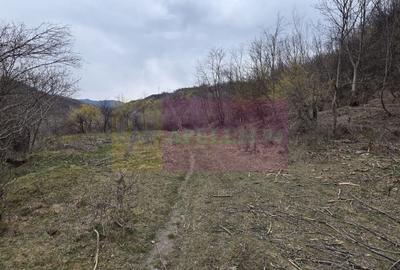 Teren agricol extravilan de 1006 mp, în Brebu - 3