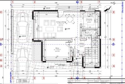 CASĂ DE VIS CU DESIGN MODERN - CIARDA ROSIE, TIMIȘOARA - 9