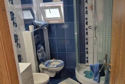 Duplex cu 5 camere cu Teren 1082 Mp în Schinteiești - 13
