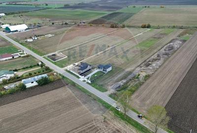 Teren intravilan 10869mp Mircestii Vechi / DJ 204E - 2