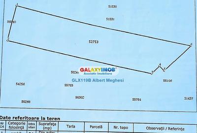 Teren 32000 mp Rudeni/Chitila deschidere 100 m centura Buc - 1