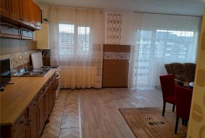 Apartament cu 2 camere semidecomandat în Parava - 3