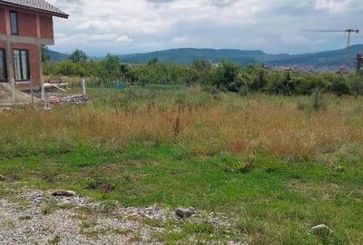 Teren intravilan Dr. D. Vechi , 1000 mp - 5