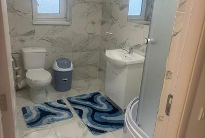 Apartament cu 2 camere în Dudovicești - 6