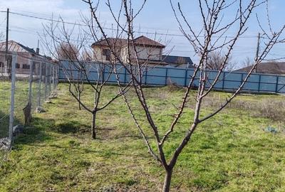 Teren de 1100 mp, în Chiscani - 3