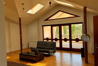 Casa P+M, 2200 MP teren, 450 MP utili, Bariera Valcii - 13