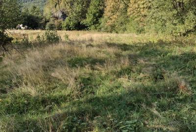 Spațiu comercial, în Poieni - 2