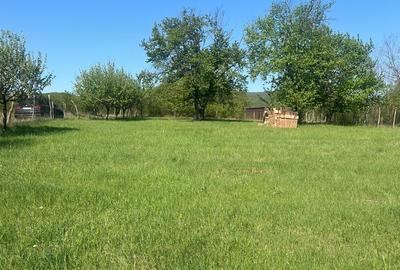 Spațiu comercial, în Central - 4