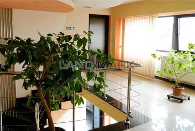 Hala industriala, 1600 mp cu teren 6500 mp , Timisoara Nord Vest - 5